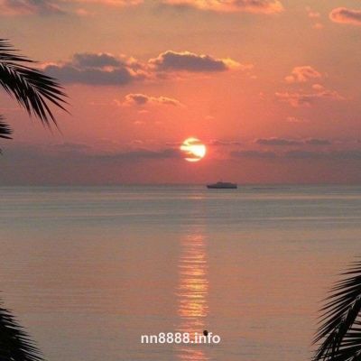 Ảnh đại diện của Thanh Mai